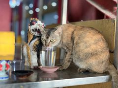 -ခြောက်ထပ်ကြီးရွှေသာလျောင်းဘုရားကြီး