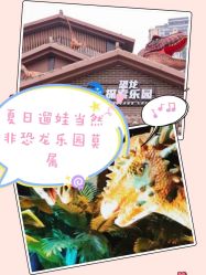 -恐龙探索乐园(磁器口店)