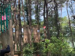 -芦仙山景区-飞越丛林探险乐园