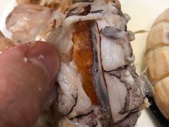 大富贵虾-大东海海鲜酒楼(渔人码头总店)