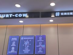 -一只酸奶牛(洪崖洞11楼店)