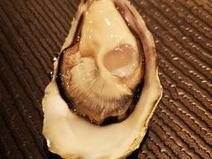 -Oyster Talks 四度蚝法餐厅