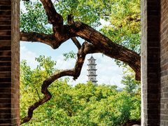 -江心屿景区