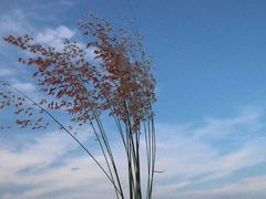 -白沙门生态公园