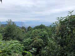 -青城山