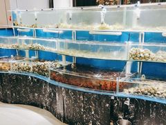 -四海蒸鲜蒸汽海鲜自助(北戴河店)