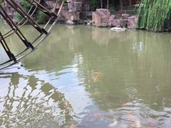 -圆苑(上海广场店)