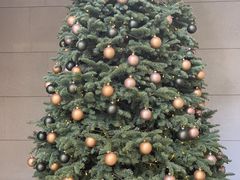 -上海柏悦酒店·大堂客厅