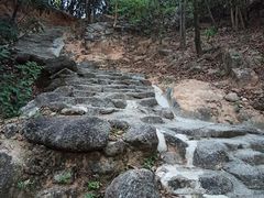 -阳台山森林公园
