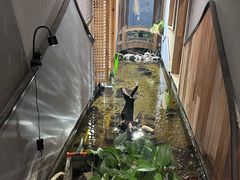 -邈墨茶馆(凤起路店)