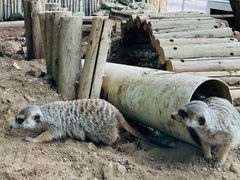 -西安秦岭野生动物园