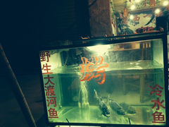 -山野烧烤