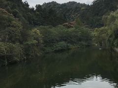 -逍遥谷景区