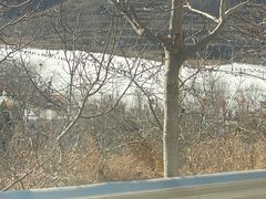 -济南卧虎山滑雪场