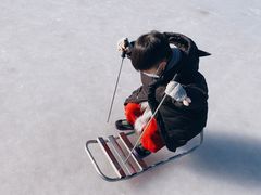 -绿野森林乐园冰雪季