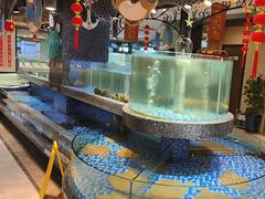 -海派美食·家宴海鲜青岛菜·石锅鲽鱼头(东方城店)