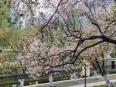 -海棠花溪(元大都城垣遗址公园)