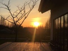 -前小桔亲子创意农场·草莓采摘·露营烧烤