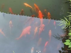 -江南第一家