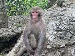 -黔灵山公园