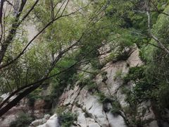 -阳台山自然风景区