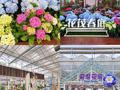 -盈香心动乐园