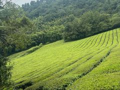-敬亭山风景名胜区