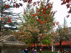 -北京石刻艺术博物馆(五塔寺)
