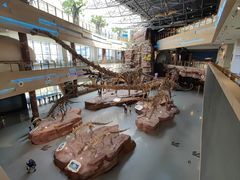 -安徽省地质博物馆