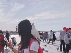 -棒棰岛宾馆景区