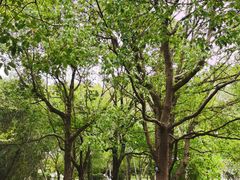 -上海交通大学(闵行校区)