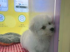 -龟与熊猫宠物公园(南坪店)
