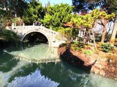 -上海醉白池公园