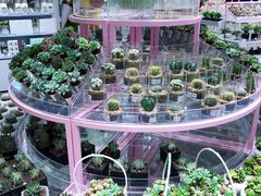 -KKV(深圳宏发大仟里店)