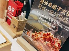 -浩爷羊蝎子火锅(望京店)