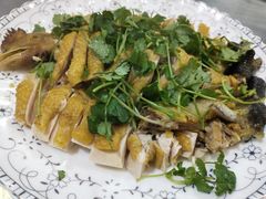 姜汁白切鸡-洪霞餐馆