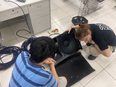 -中加枫华国际学校
