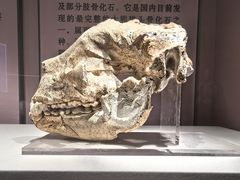 -咸宁市博物馆