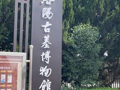 -洛阳古墓博物馆