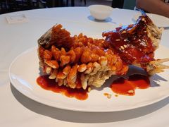 -洋洋中餐馆·SINCE 1997(信投店)