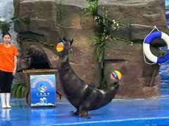 -多彩贵州城极地海洋世界