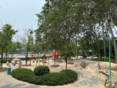 -张店儿童公园