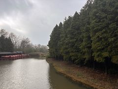 -溱湖国家湿地公园