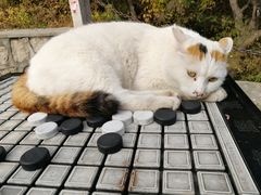 -北京凤凰岭