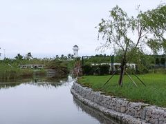 -鹦鹉洲湿地公园