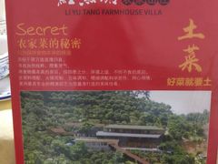 -鲤鱼塘农家山庄