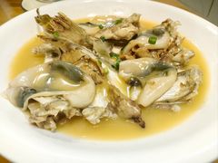 -9号小厨师(端平桥店)