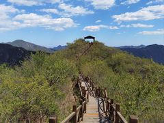 -大岭沟猕猴桃谷风景区