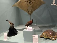 -国家自然博物馆