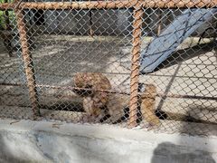 -哈尔滨北方森林动物园